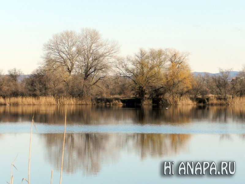 Анапа зимой - река Анапка