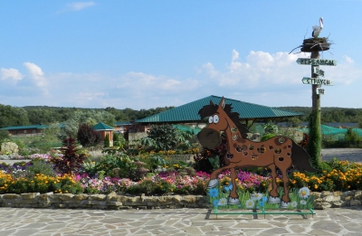 Парк «ДоДо» экскурсии в Анапе цены
